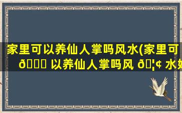 家里可以养仙人掌吗风水(家里可 🍀 以养仙人掌吗风 🦢 水好不好)